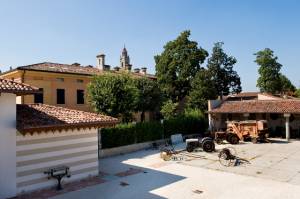 Il Museo ai giorni d'oggi