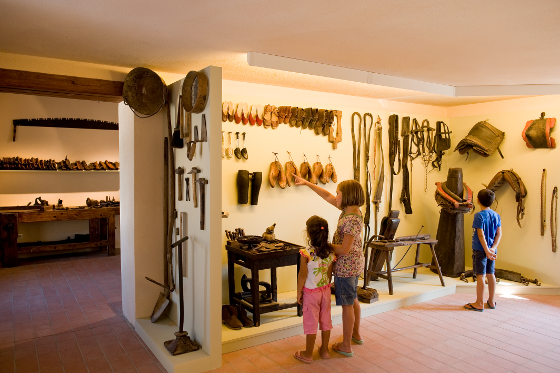 Interno Museo